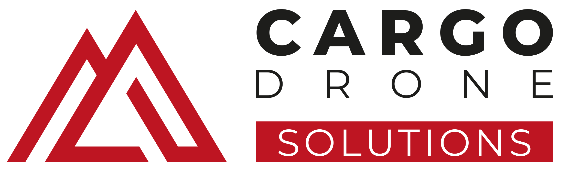 Cargo Drones Solutions